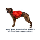 Ruffwear Palisades Dog Backpack - FERAL