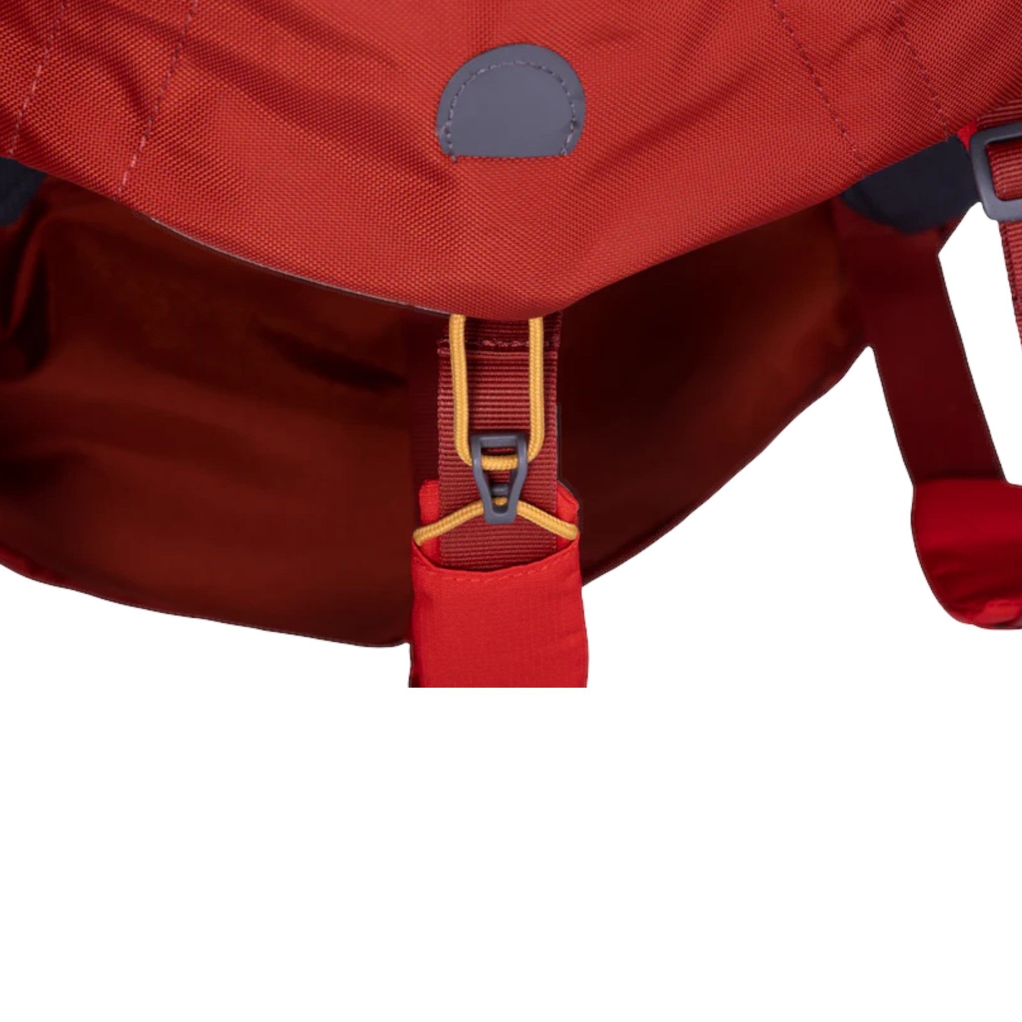 Ruffwear Palisades Dog Backpack - FERAL