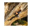 Singing Rock Onyx Climbing Harness - FERAL
