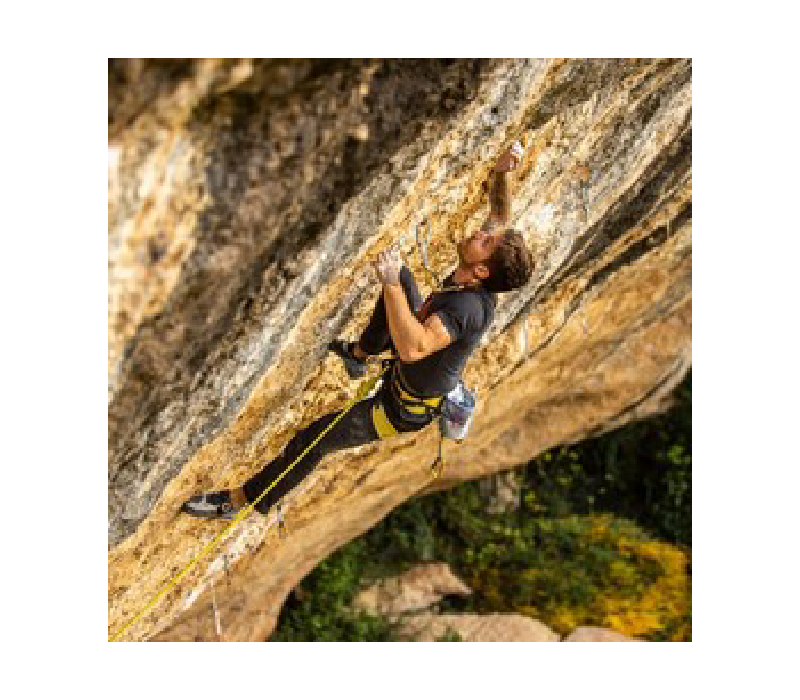 Singing Rock Onyx Climbing Harness - FERAL