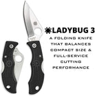 Spyderco Ladybug Black Plain Edge Knife - FERAL
