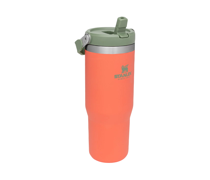 Stanley The IceFlow Flip Straw Tumbler 30 oz - FERAL