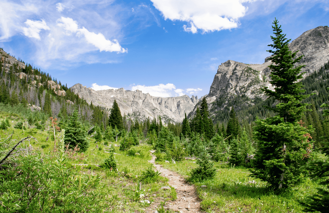 A dirt path winds through a vibrant green meadow towards jagged mountain peaks, inviting adventure and exploration.
