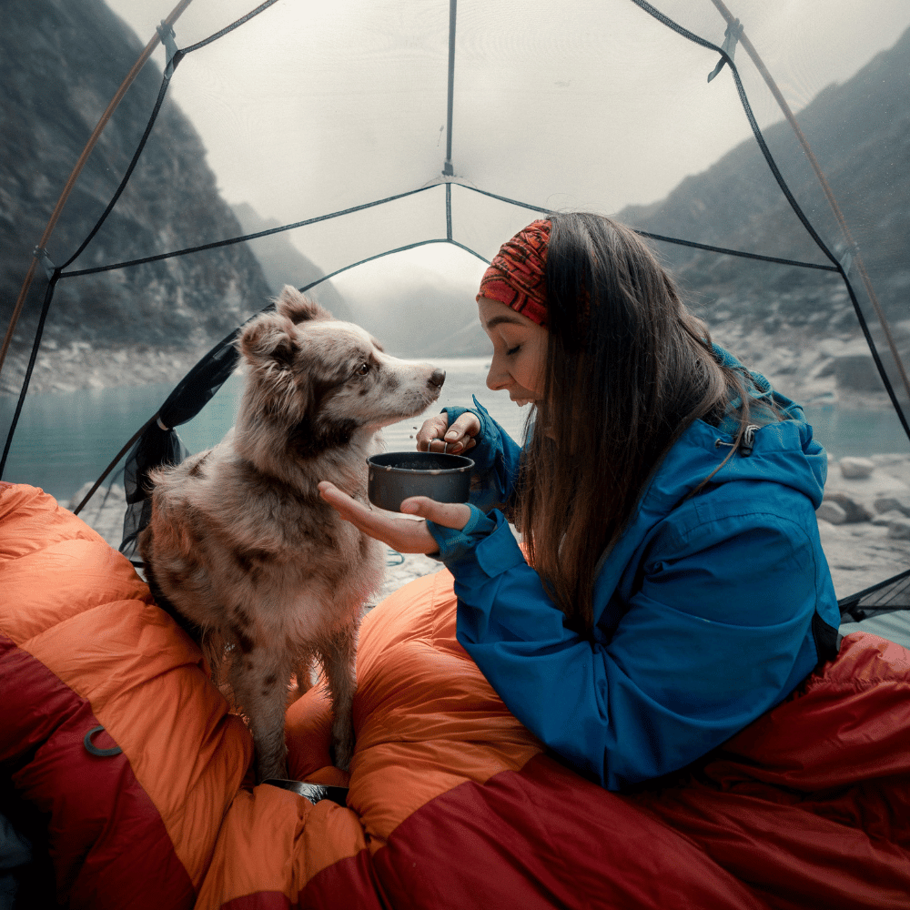 Woman in a jacket inside a tent with a dog and a mountainous landscape outside.