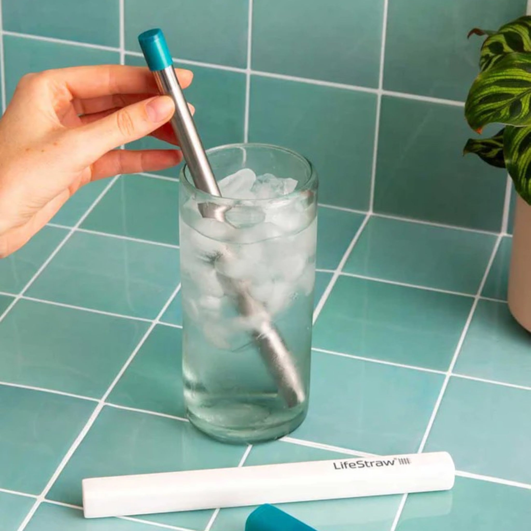 LifeStraw Sip Reusable Stainless Steel Water Filter Straw With Carry Cases - 3 Pack - FERAL