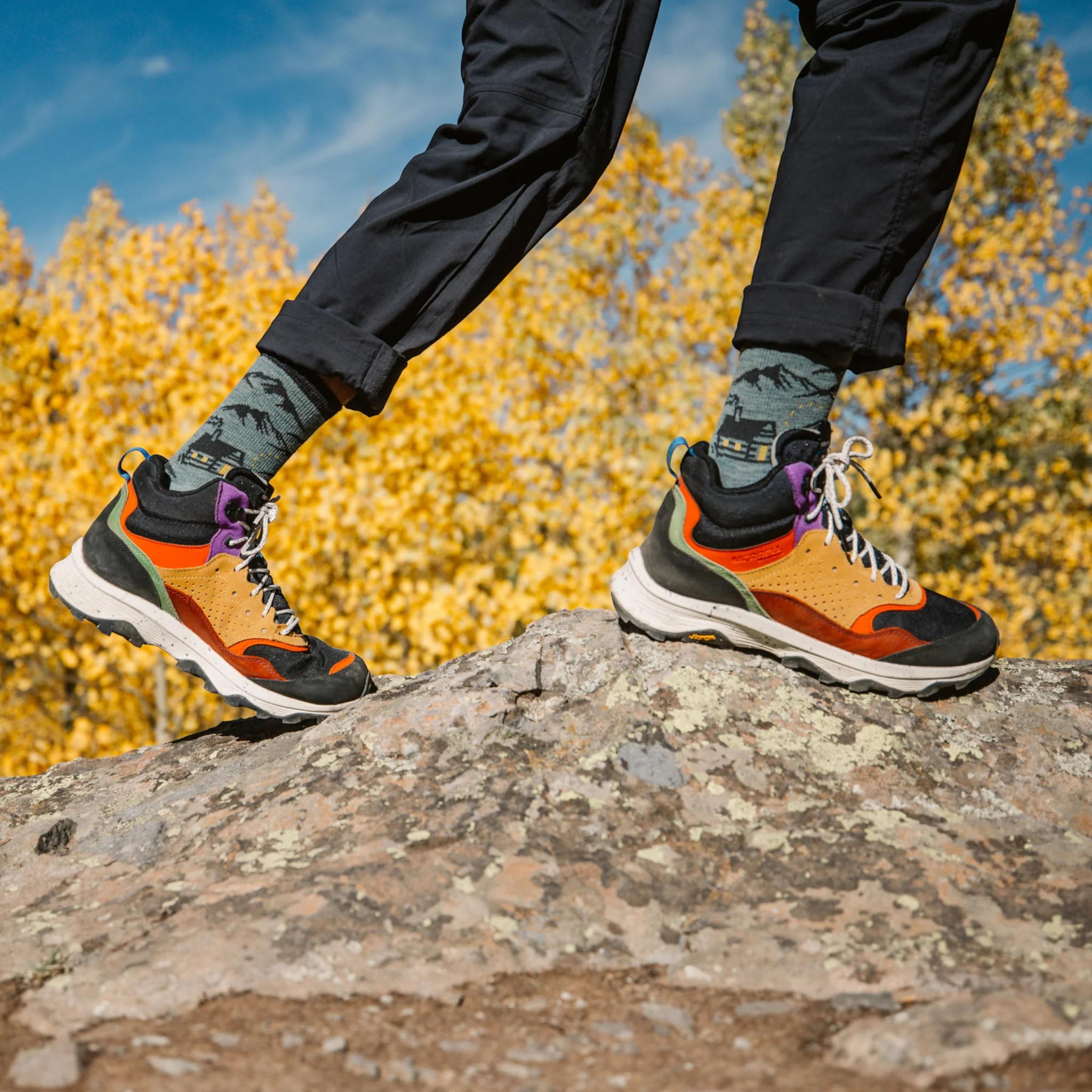 Darn Tough Hike Hike Hut Micro Crew Midweight with Cushion Socks - FERAL