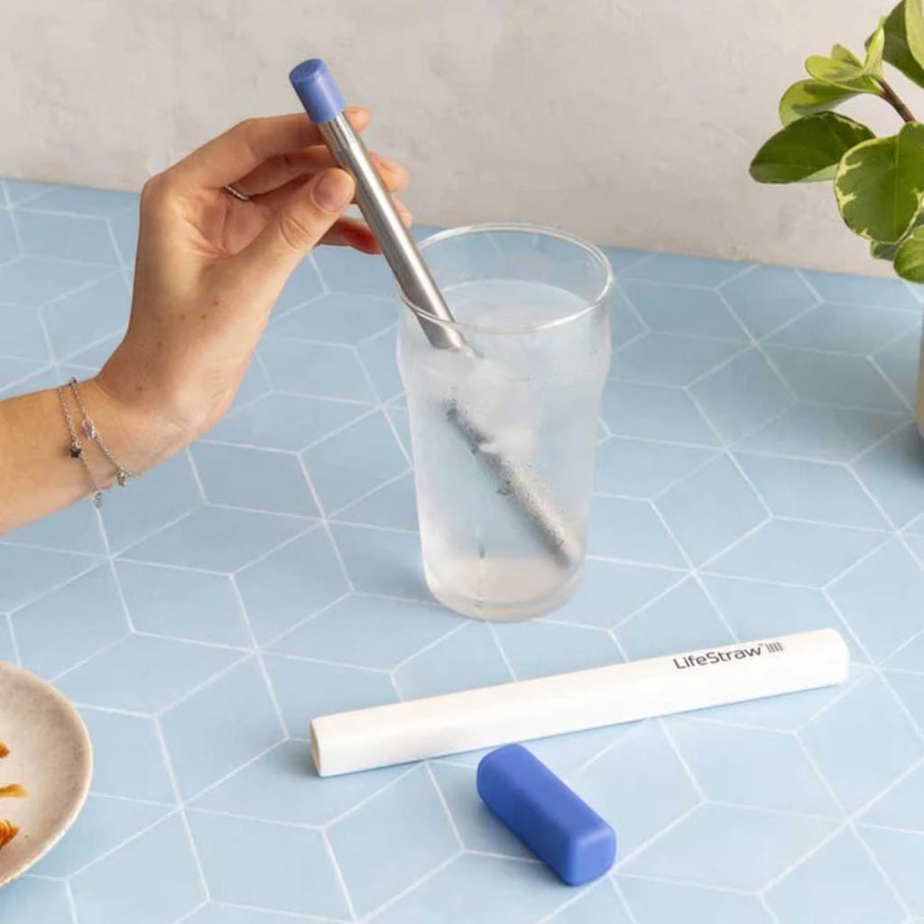LifeStraw Sip Reusable Stainless Steel Water Filter Straw With Carry Cases - 3 Pack - FERAL
