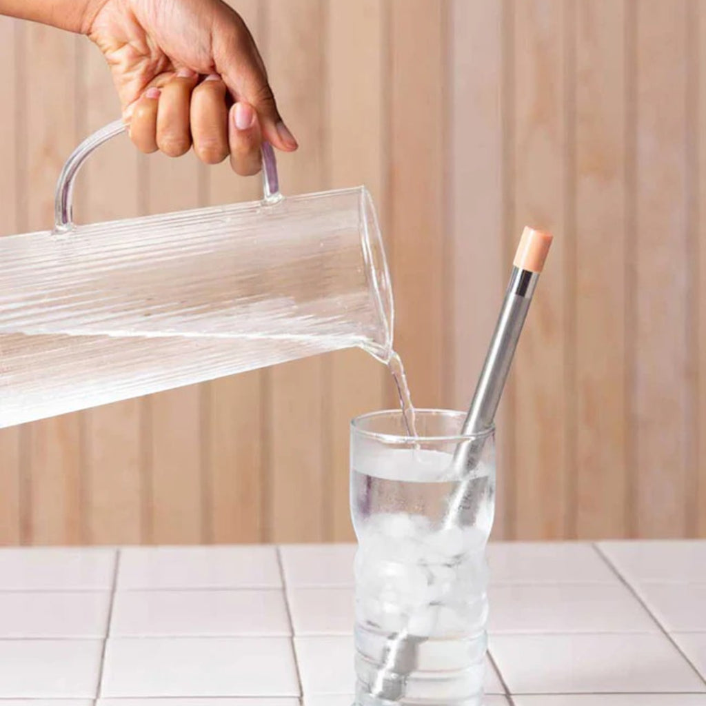 LifeStraw Sip Reusable Stainless Steel Water Filter Straw With Carry Cases - 3 Pack - FERAL