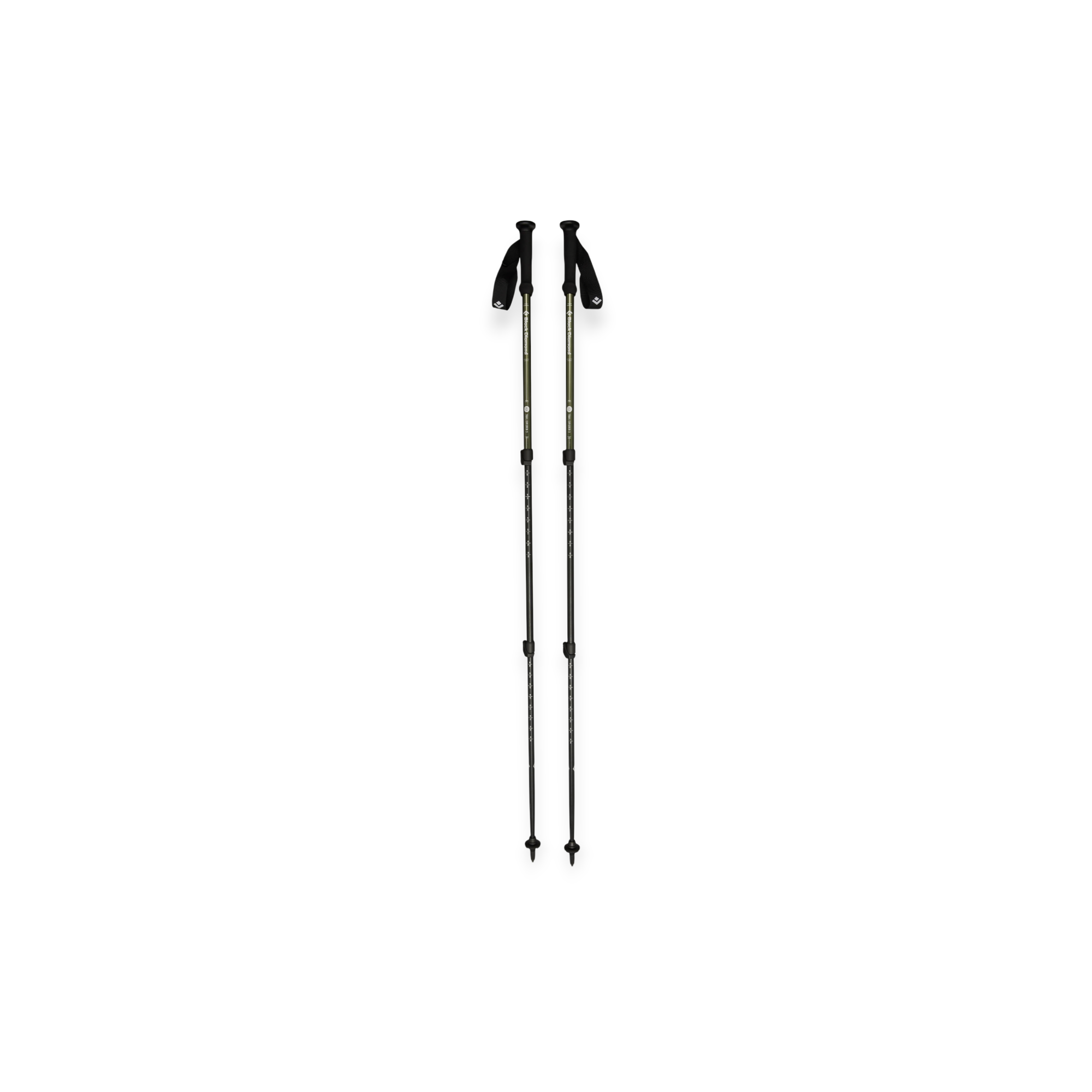 Black Diamond Explorer 3 Trekking Poles - FERAL