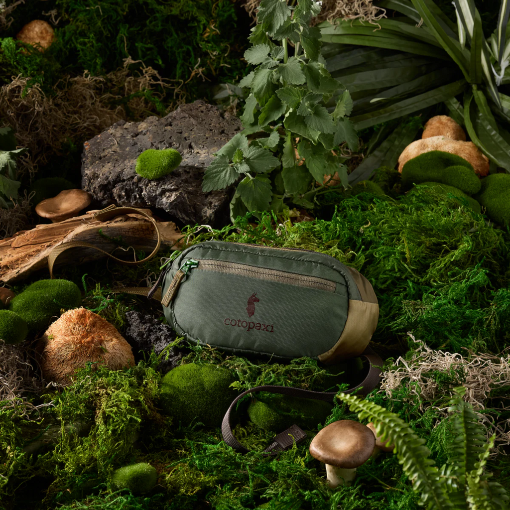 Cotopaxi Kapai 1.5L Hip Pack - FERAL