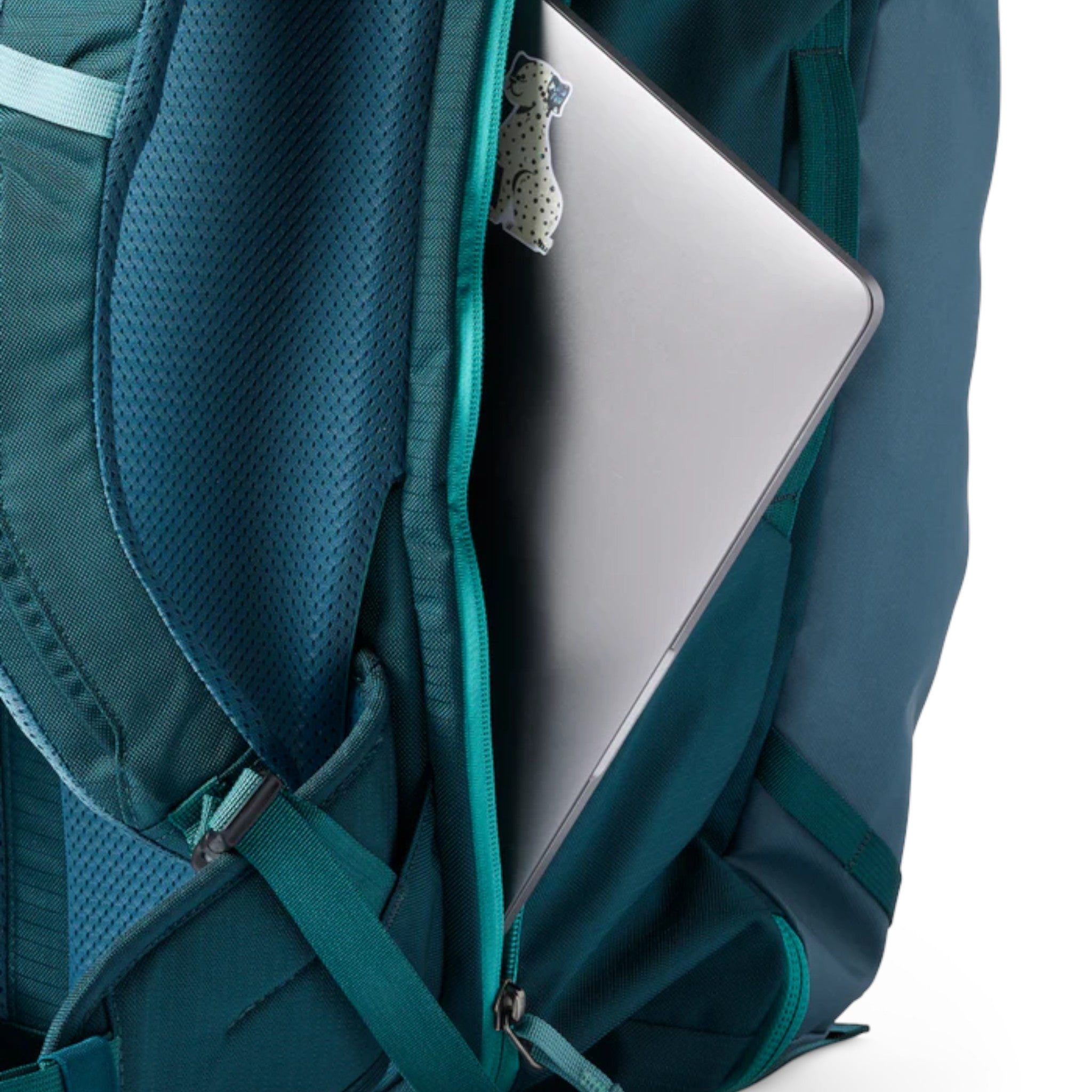 Cotopaxi Allpa 42L Travel Pack - FERAL