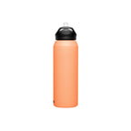CamelBak Eddy+ 32oz. Insulated Stainless Steel Water Bottle - FERAL