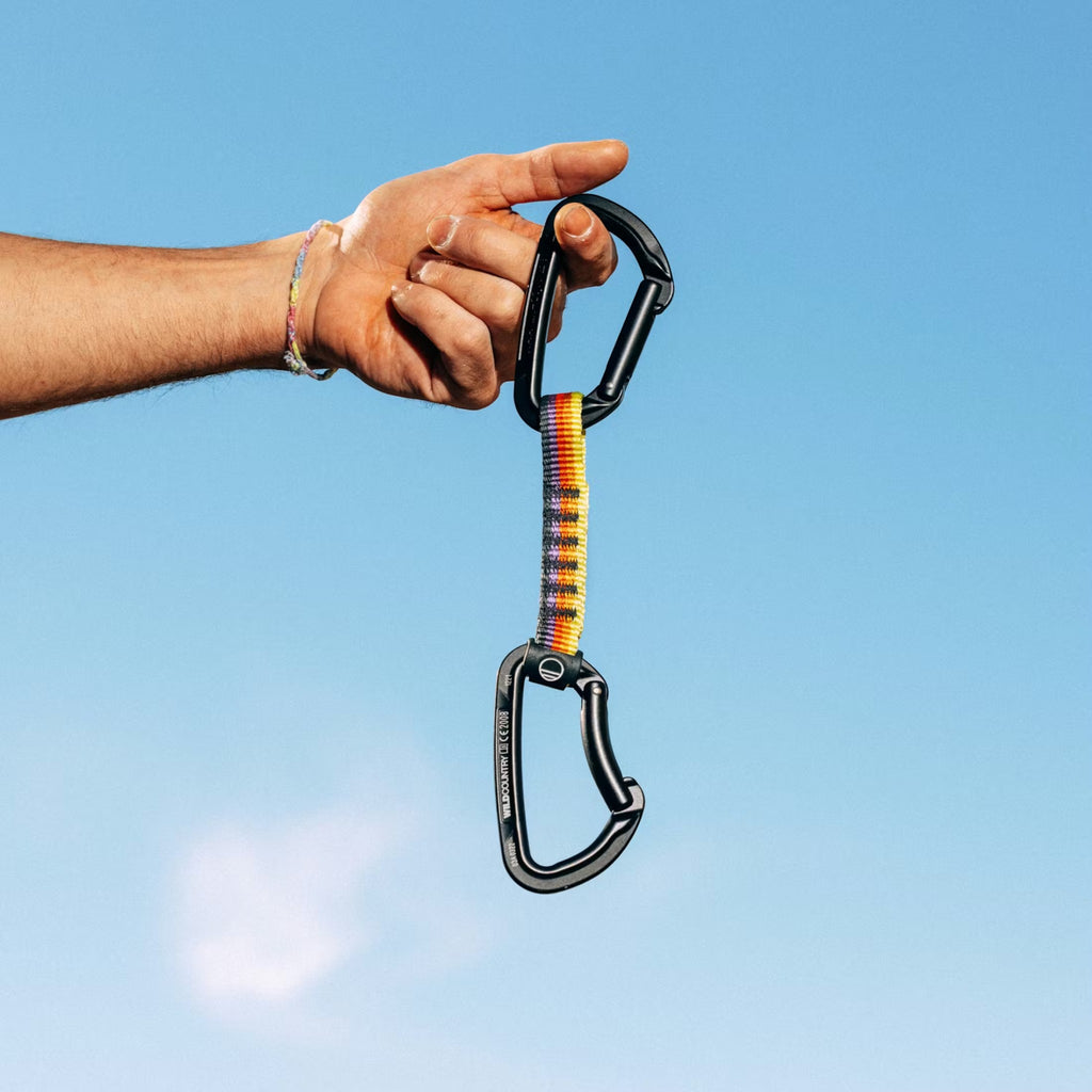 Wild Country Session Quickdraw 17cm - FERAL