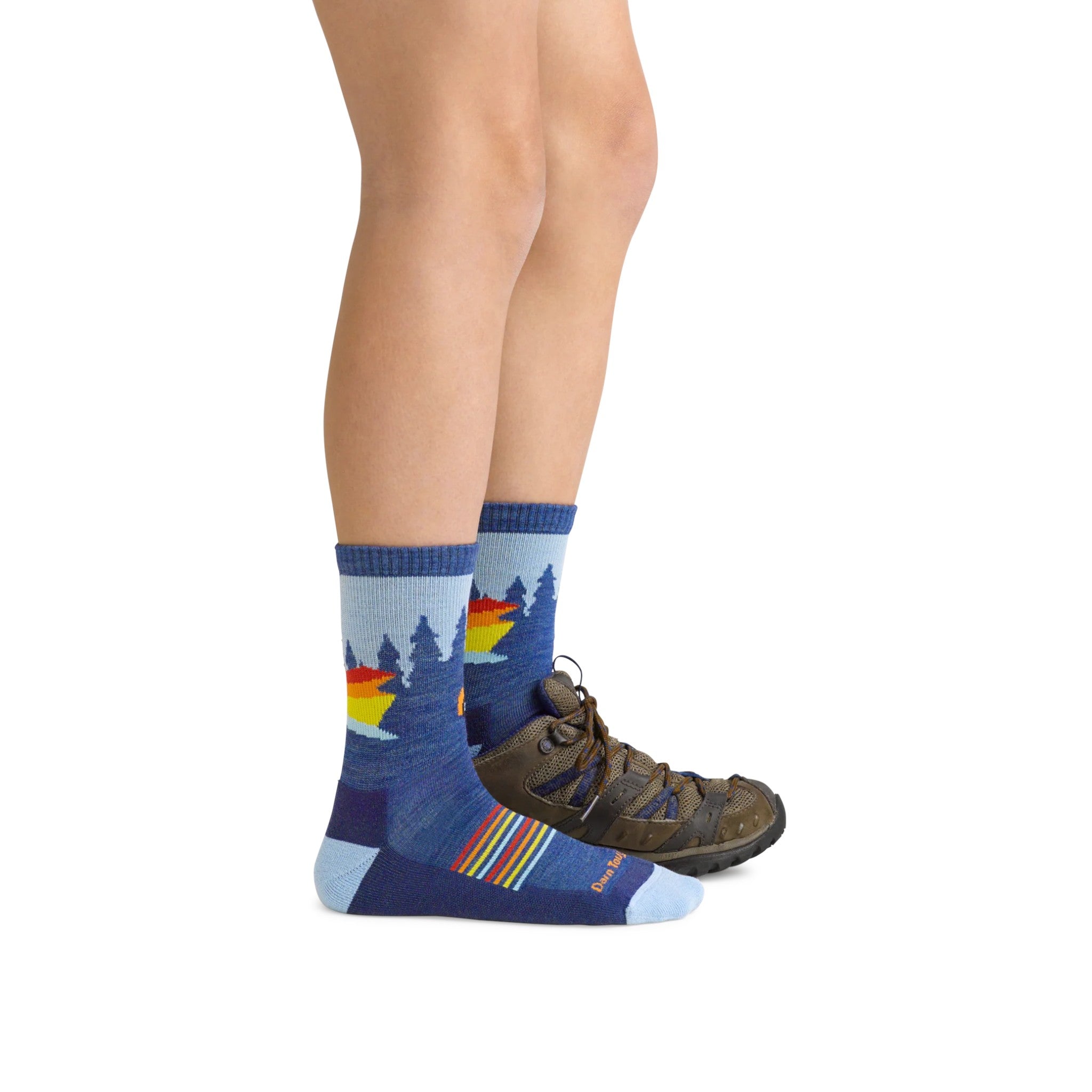 Darn Tough Kids' Van Wild Micro Crew Lightweight Hiking Socks - FERAL