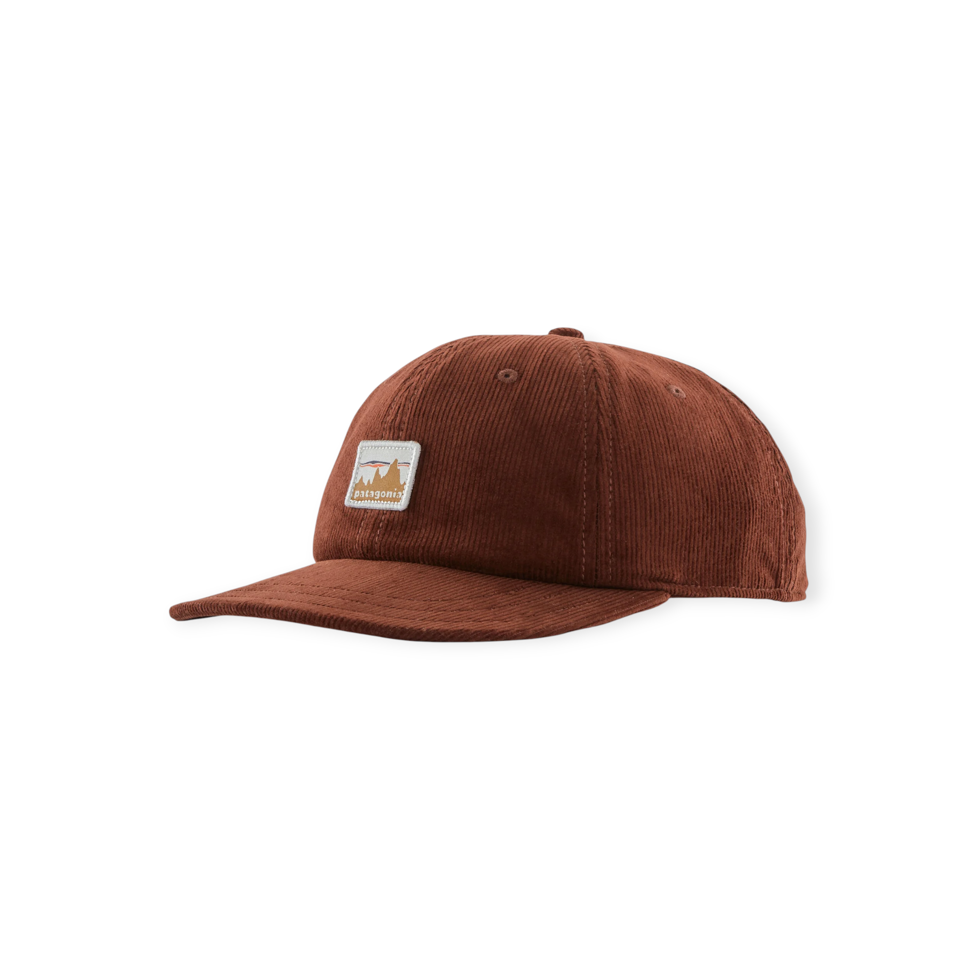 Patagonia Corduroy Cap - FERAL