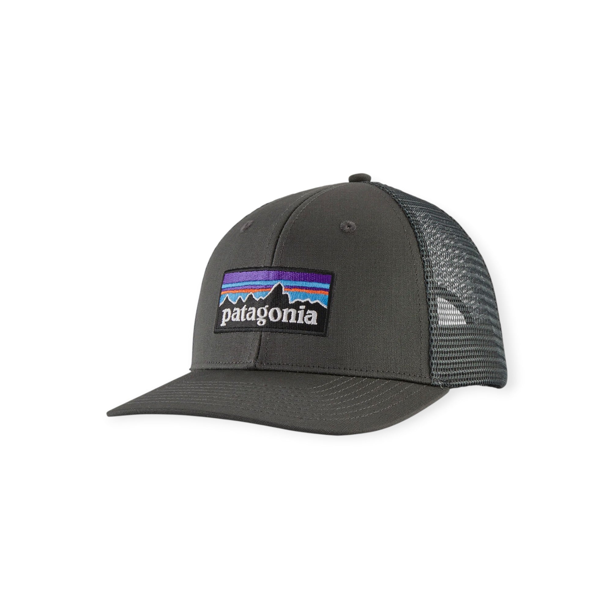 Patagonia P-6 Logo Trucker Hat - FERAL