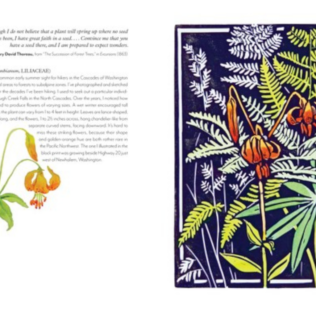 Wildflowers of the West: An Artist's Guide - FERAL