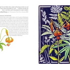 Wildflowers of the West: An Artist's Guide - FERAL