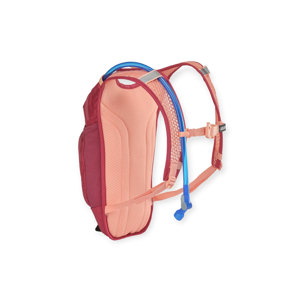 CamelBak Kids' Mini Mule Hydration Pack 50 oz. - FERAL