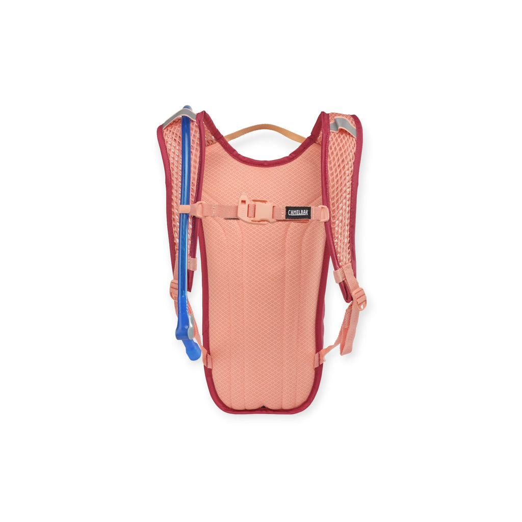 CamelBak Kids' Mini Mule Hydration Pack 50 oz. - FERAL