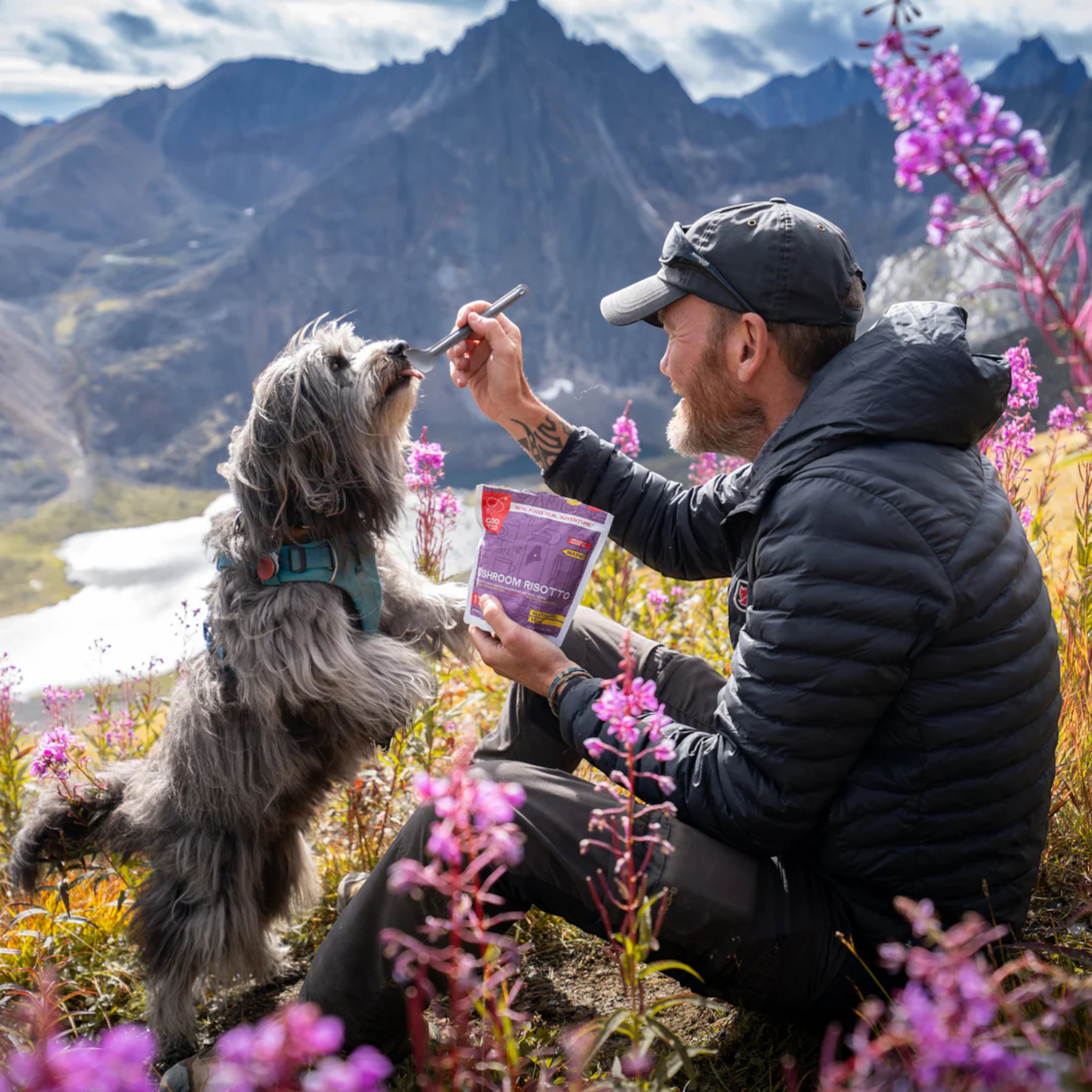 Good To-Go Mushroom Risotto Dehydrated Backpacking Meal - FERAL
