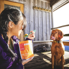 Good To-Go Pad Thai Dehydrated Backpacking Meal - FERAL