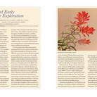 Wildflowers of the West: An Artist's Guide - FERAL