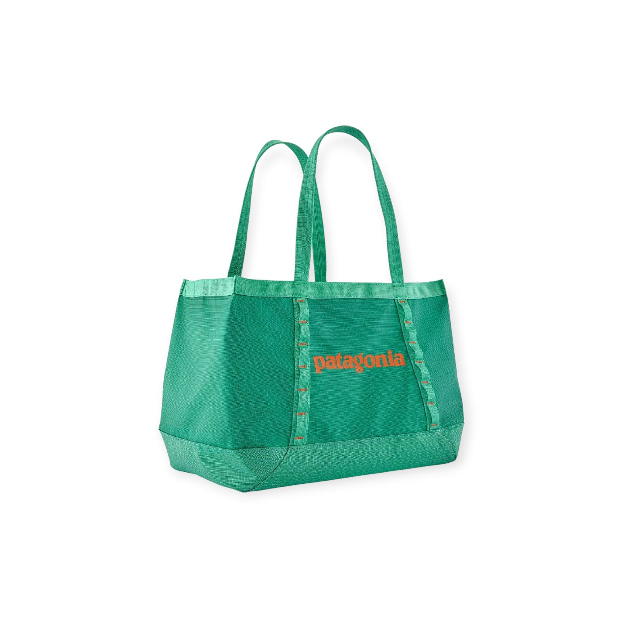 Patagonia Black Hole Tote 25L