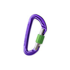 Wild Country Session Screwgate Carabiner - FERAL