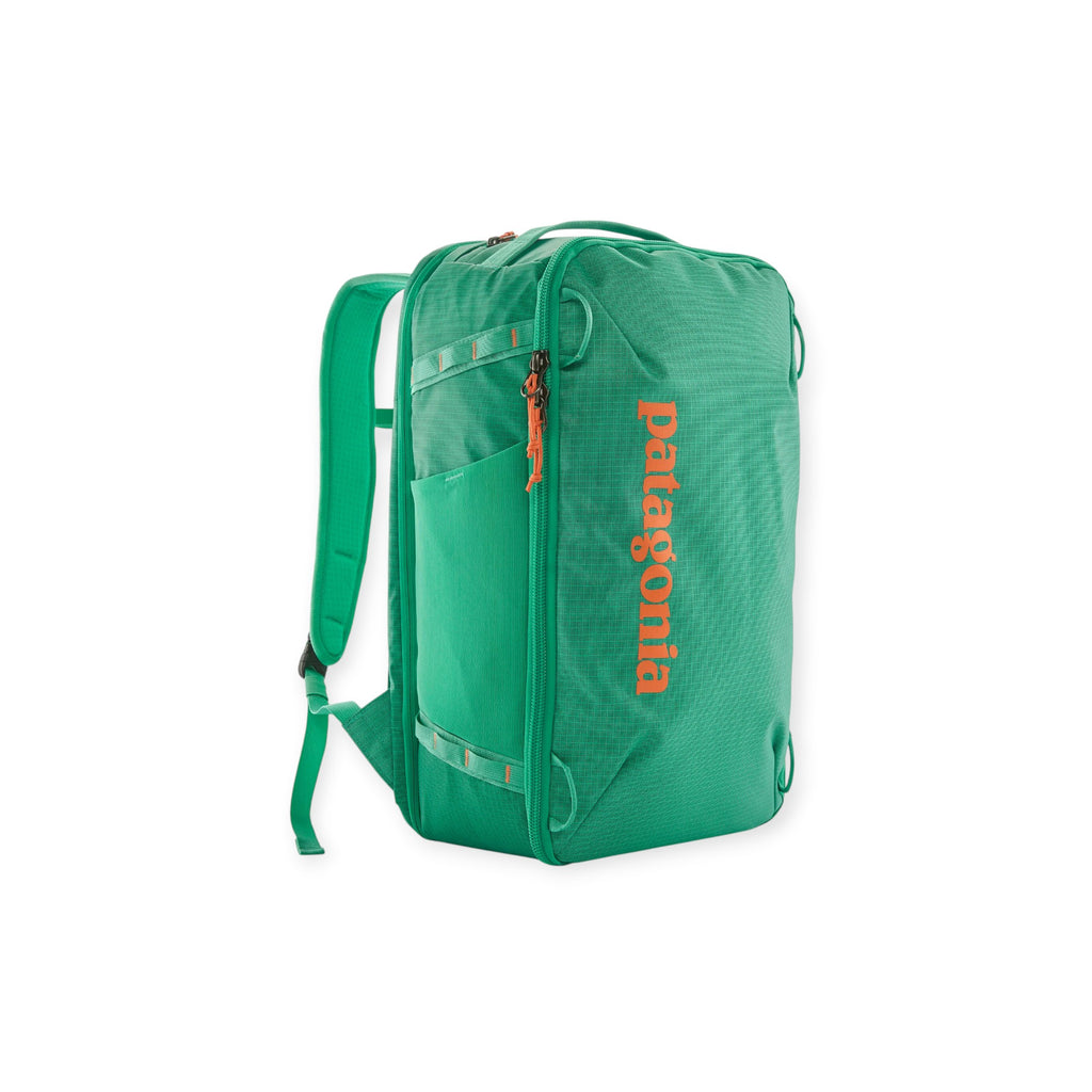 Patagonia Black Hole Mini MLC Backpack 30L - FERAL