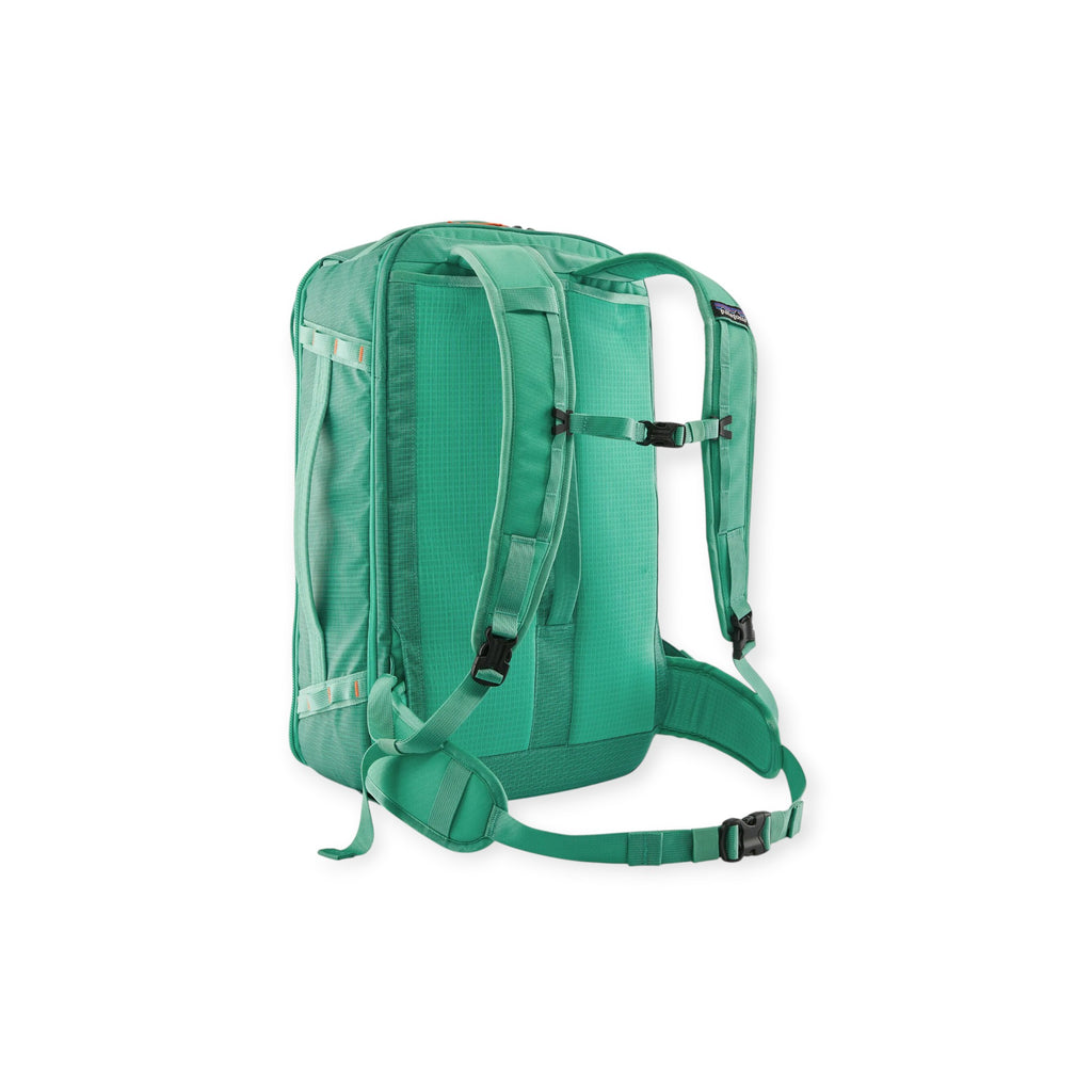 Patagonia Black Hole Mini MLC Backpack 30L - FERAL