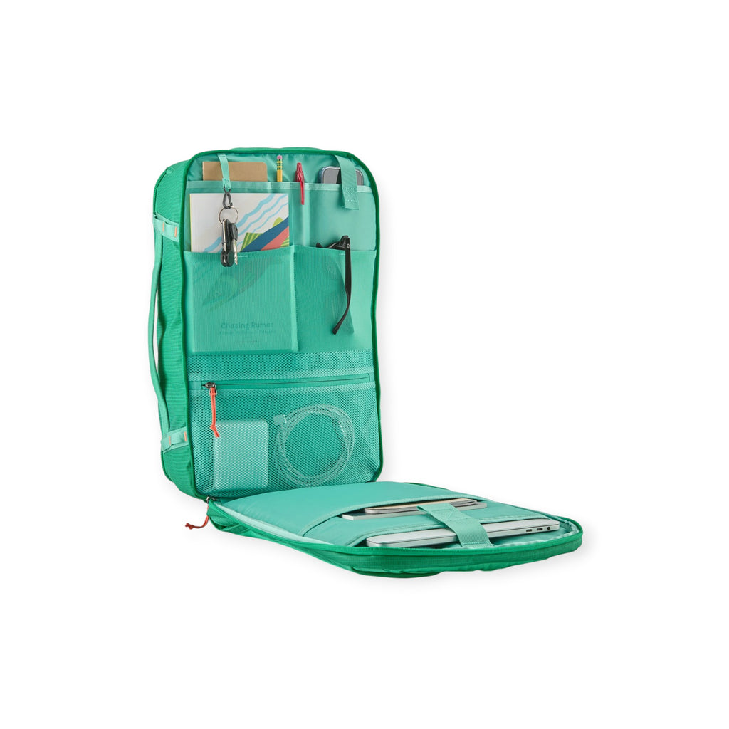 Patagonia Black Hole Mini MLC Backpack 30L - FERAL