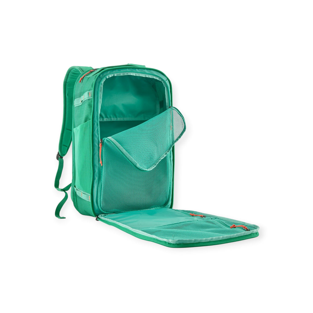 Patagonia Black Hole Mini MLC Backpack 30L - FERAL