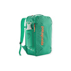 Patagonia Black Hole Mini MLC Backpack 30L - FERAL