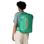 Patagonia Black Hole Mini MLC Backpack 30L - FERAL