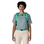 Patagonia Black Hole Mini MLC Backpack 30L - FERAL