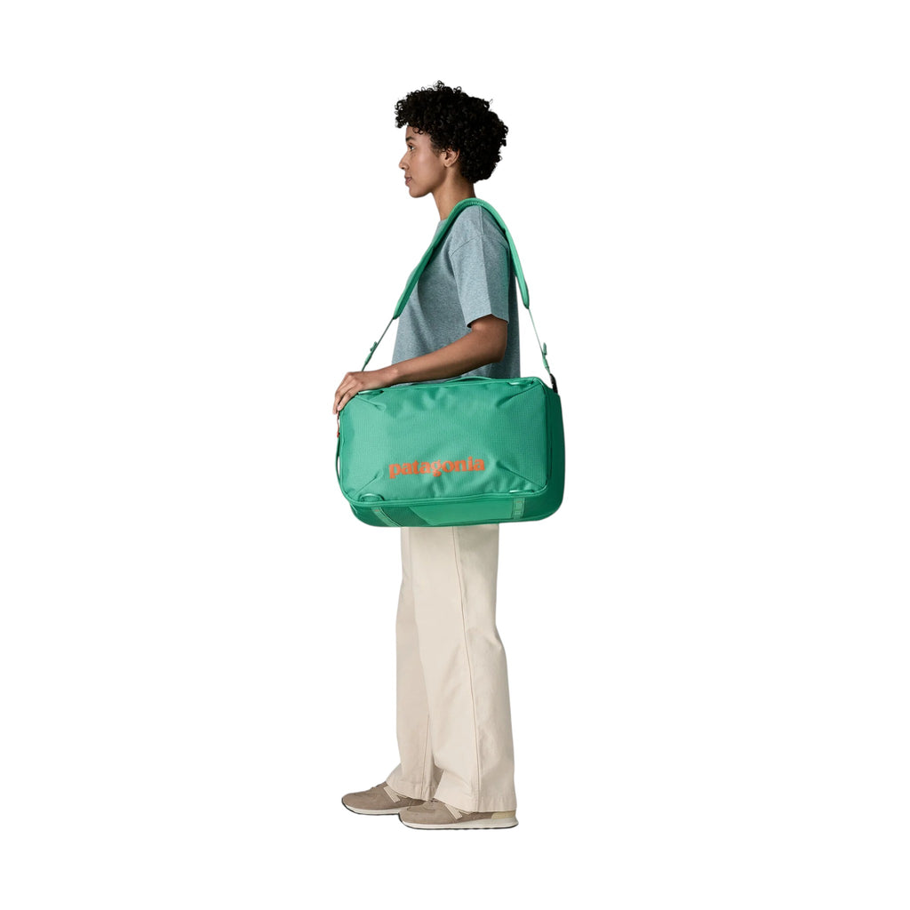 Patagonia Black Hole Mini MLC Backpack 30L - FERAL