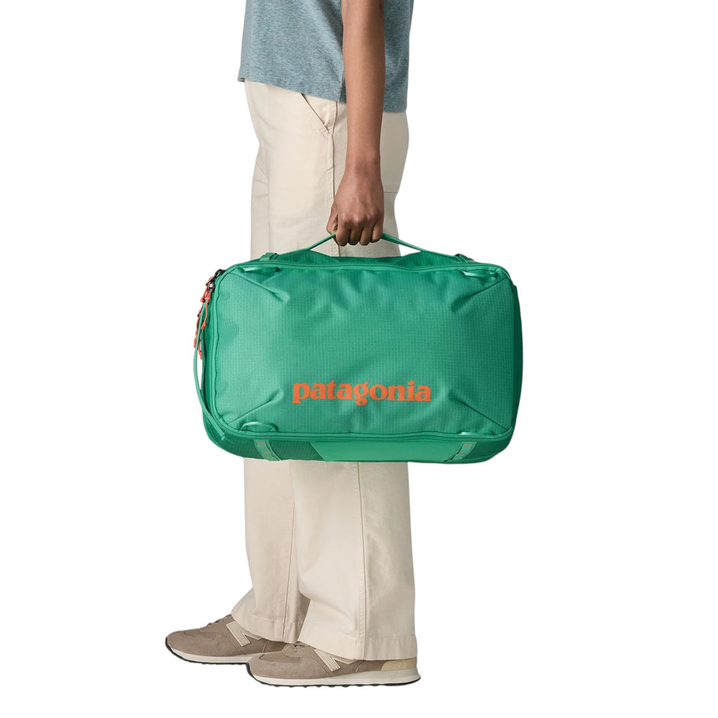 Patagonia Black Hole Mini MLC Backpack 30L - FERAL