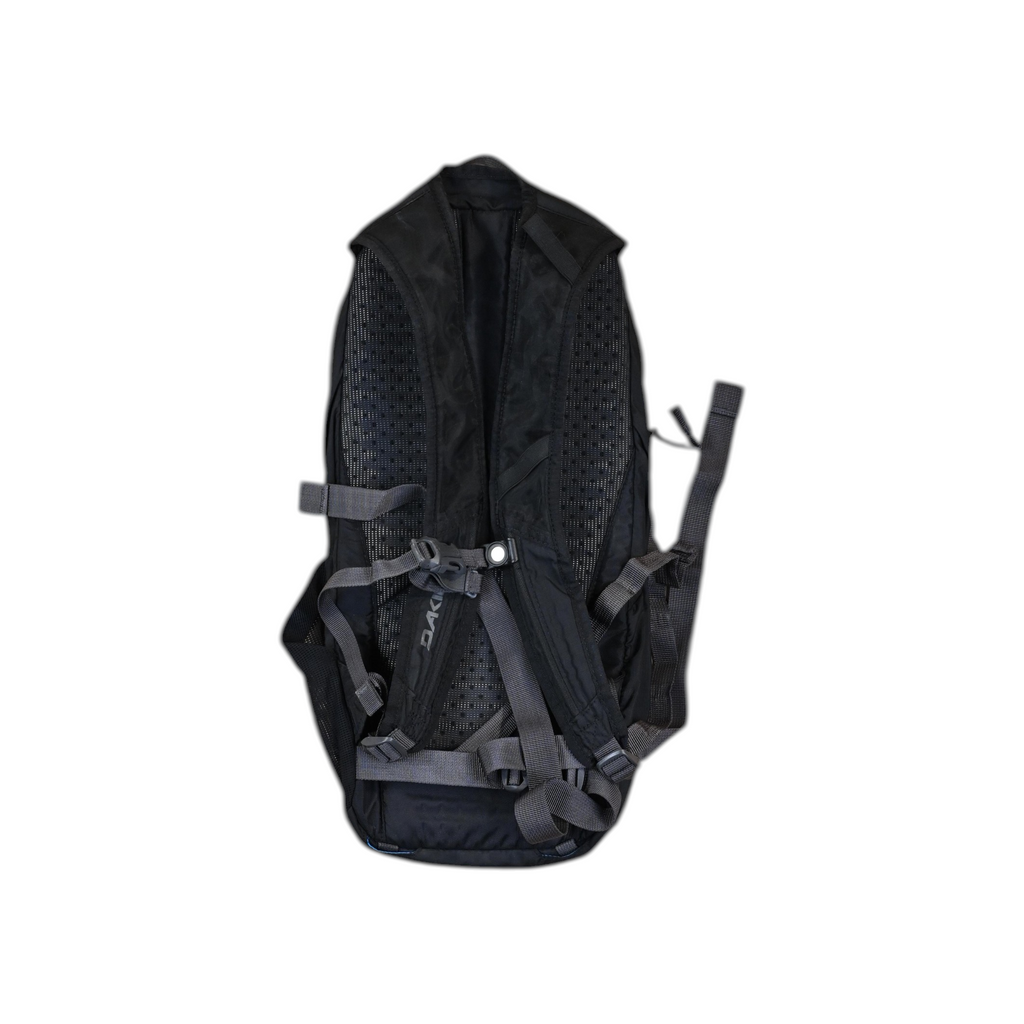 Dakine Ski 12L Backpack - FERAL