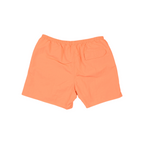 Patagonia Men's Baggies Shorts - FERAL