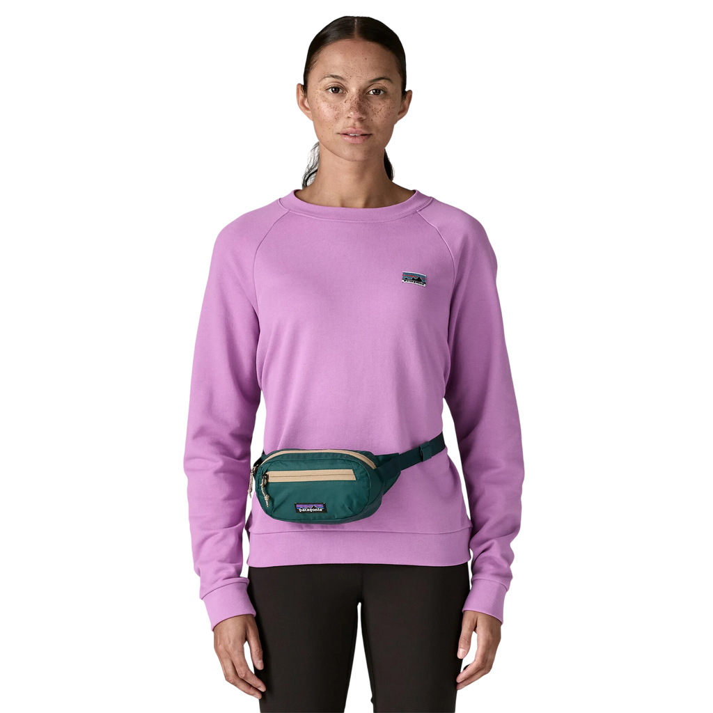 Patagonia Terravia Mini Hip Pack 1L - FERAL