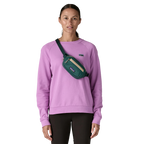 Patagonia Terravia Mini Hip Pack 1L - FERAL