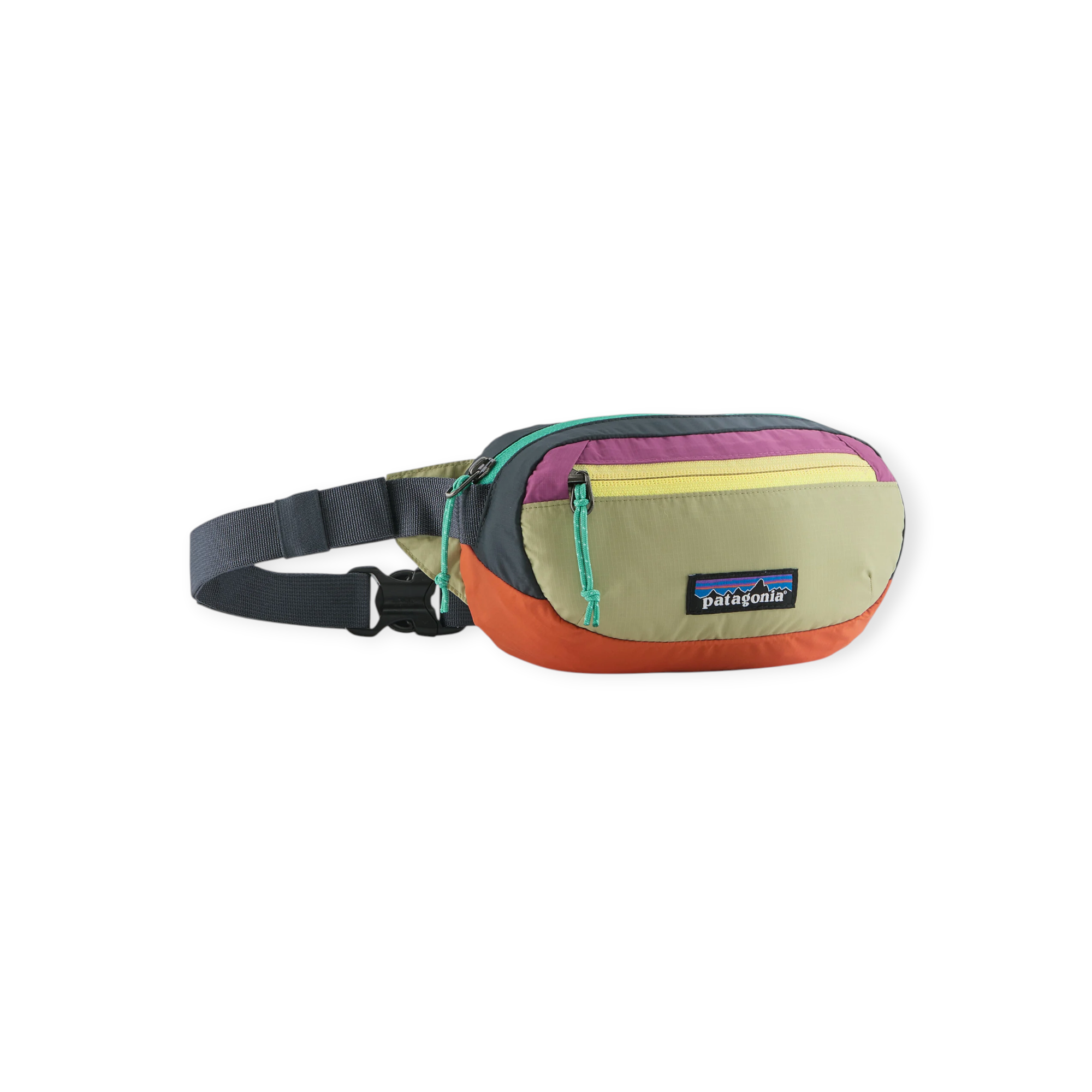 Patagonia Terravia Mini Hip Pack 1L