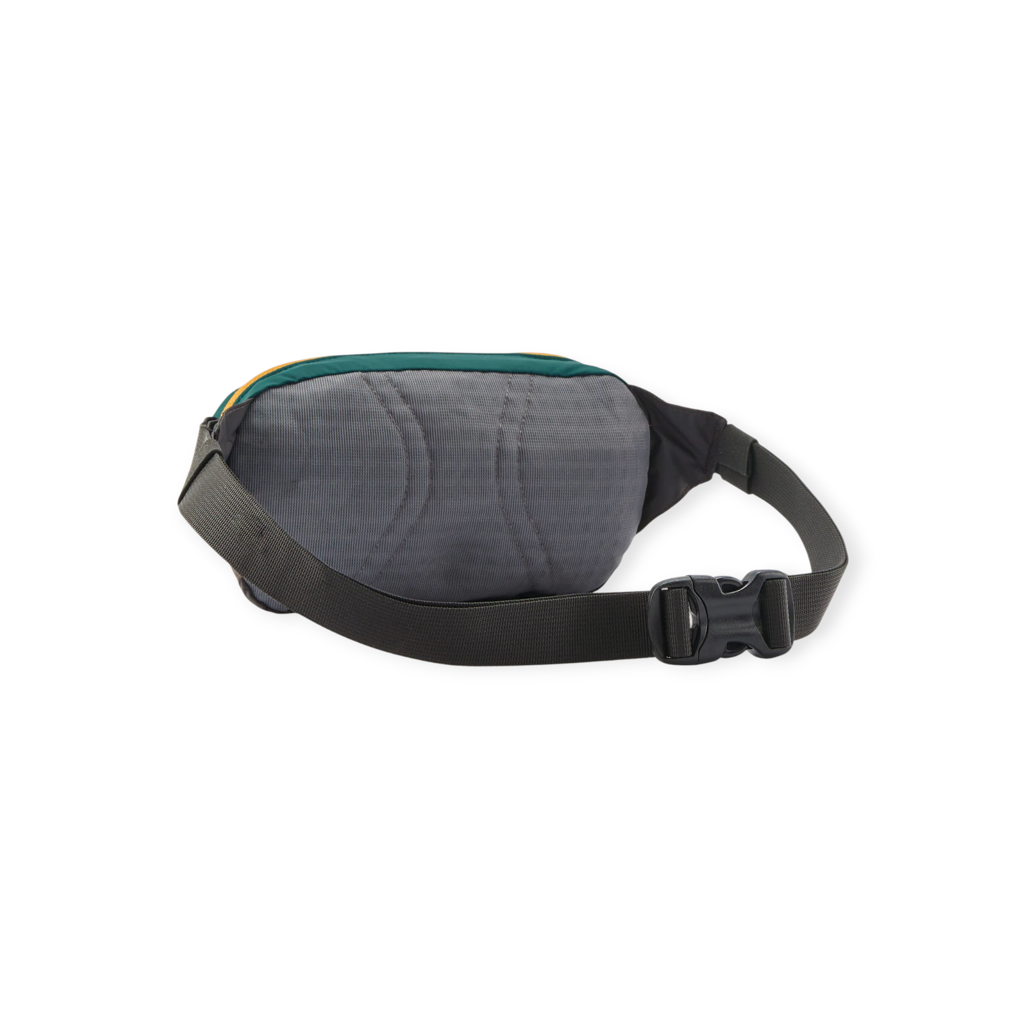 Patagonia Terravia Mini Hip Pack 1L - FERAL