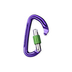 Wild Country Session Screwgate Carabiner - FERAL