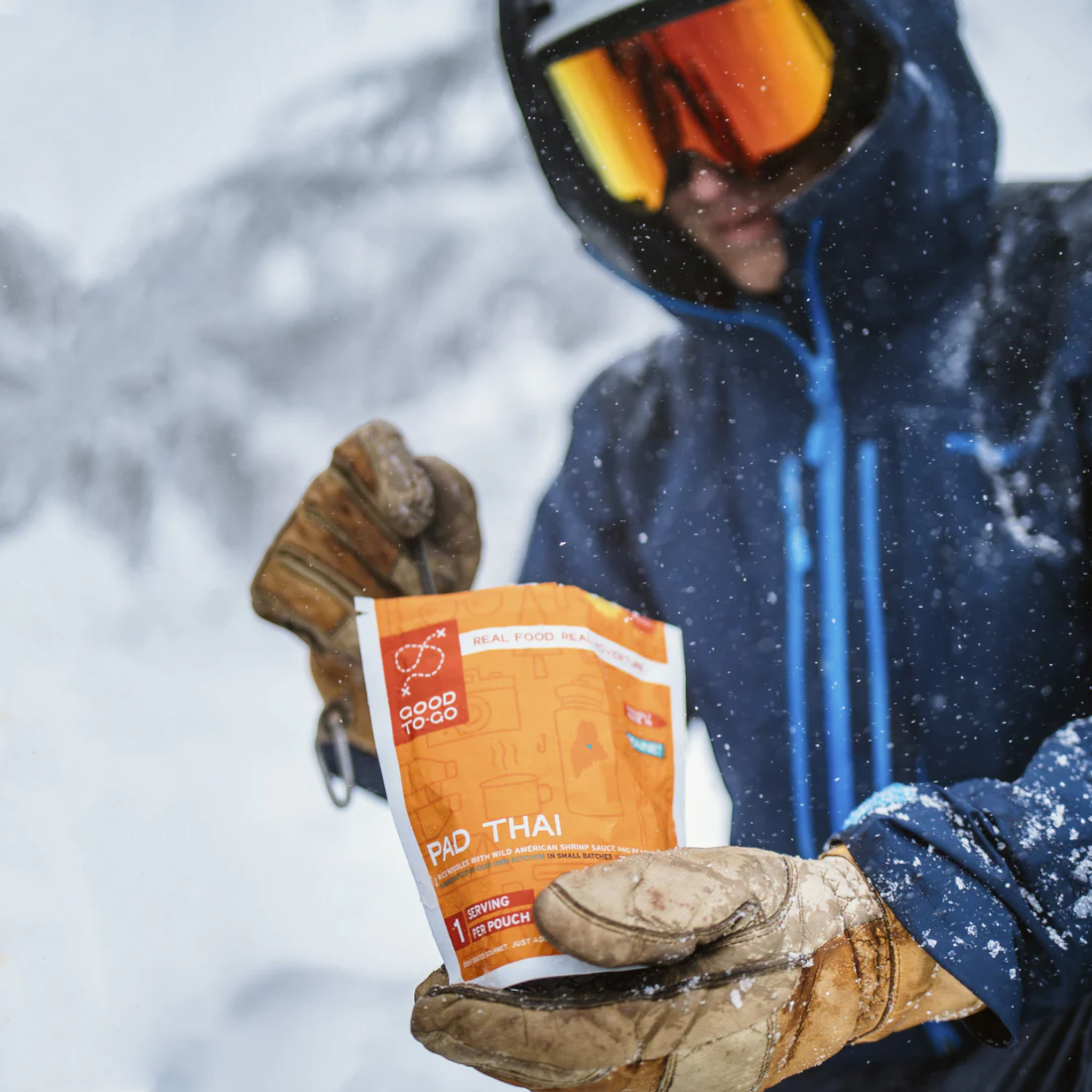 Good To-Go Pad Thai Dehydrated Backpacking Meal - FERAL