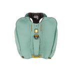 Ruffwear Front Range Dog Day Pack - FERAL