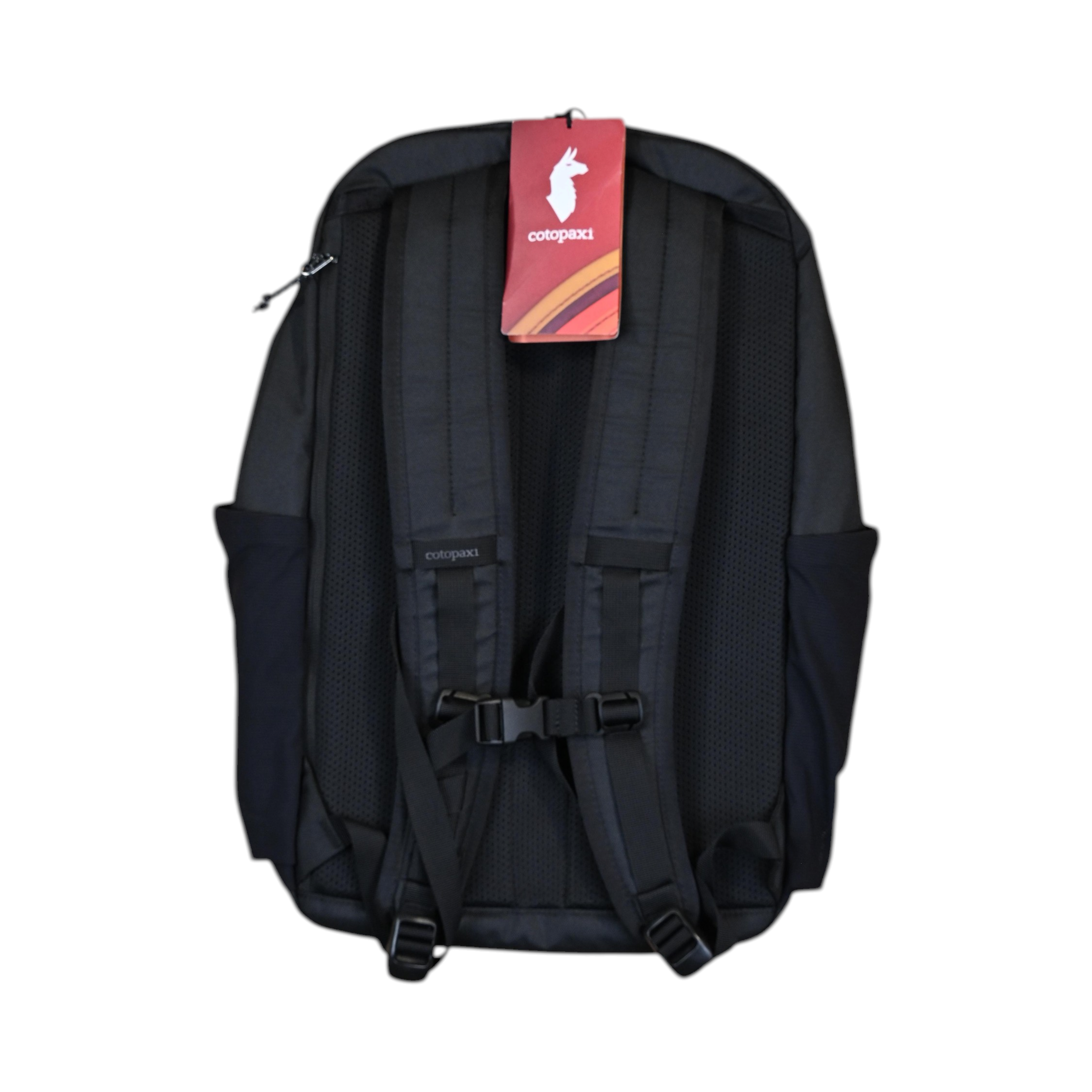 Cotopaxi Abierto 26L Backpack