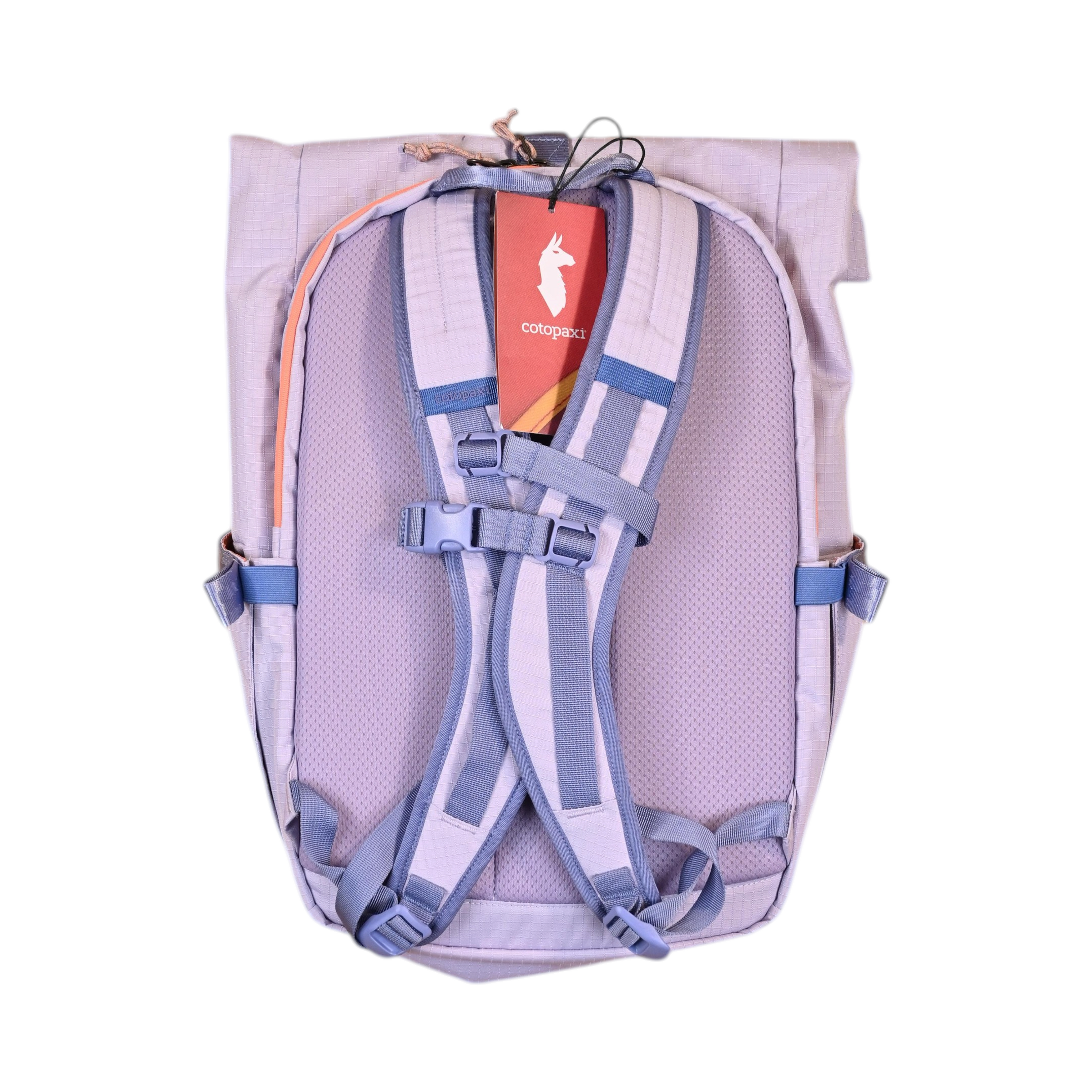 Cotopaxi Consuelo 22L Backpack
