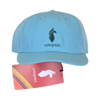 Cotopaxi Dad Hat
